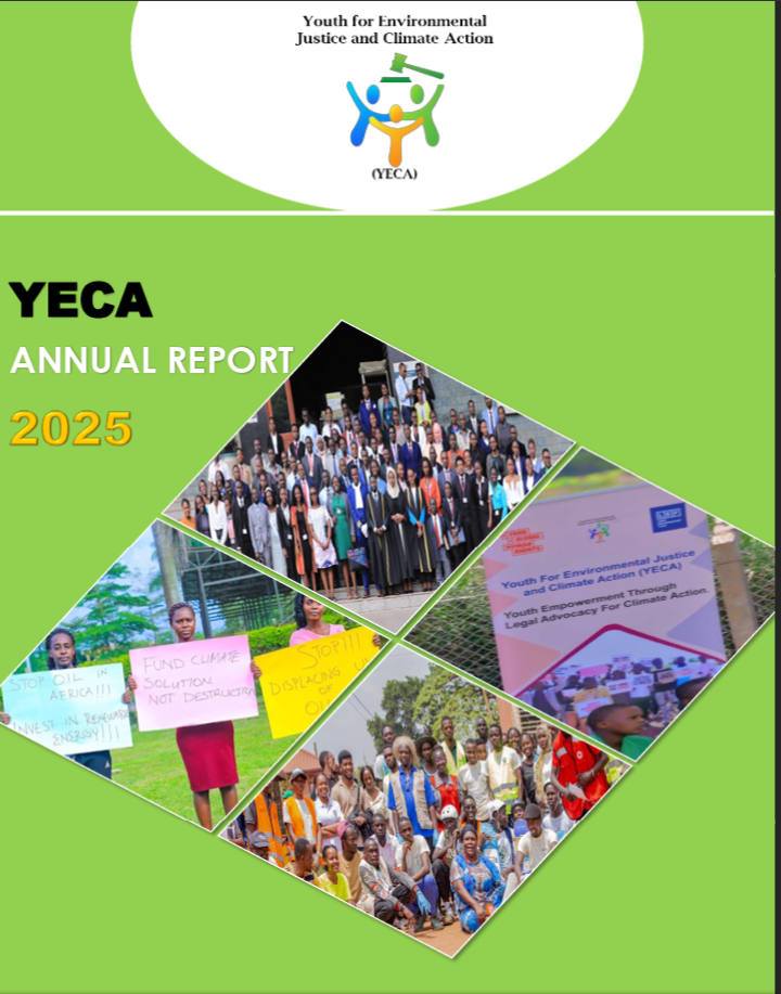 YECA Annual report 2025